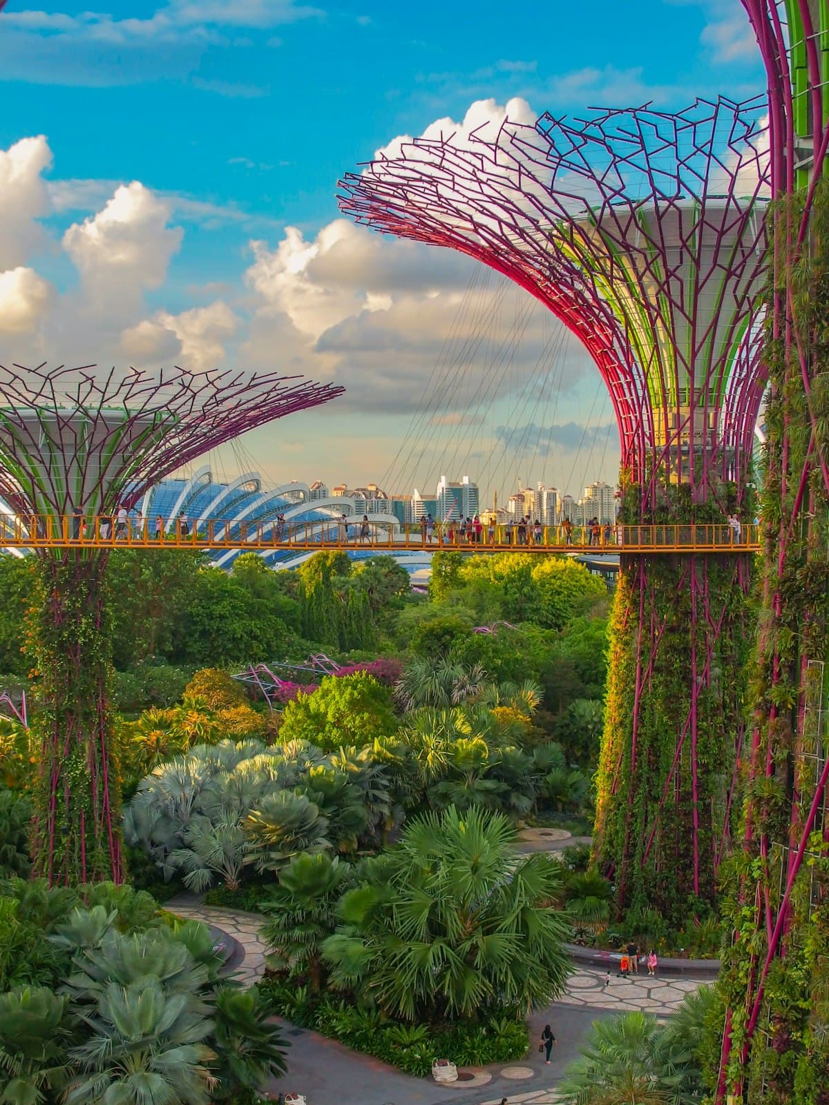 Gardens by the Bay, Singapore — Southeast Asia rising onto the world stage